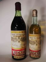 FRAMBOISE MUGNIER